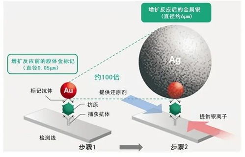 富士膠片開發(fā)高靈敏新冠檢測試劑盒 銀擴增技術(shù)的技術(shù)創(chuàng)新與水源領(lǐng)域的交叉應(yīng)用